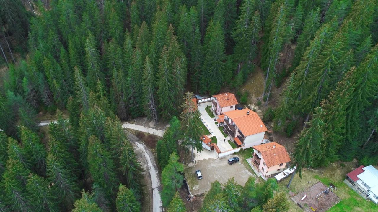 Ивелия Къща За Гости Dospat Exterior foto